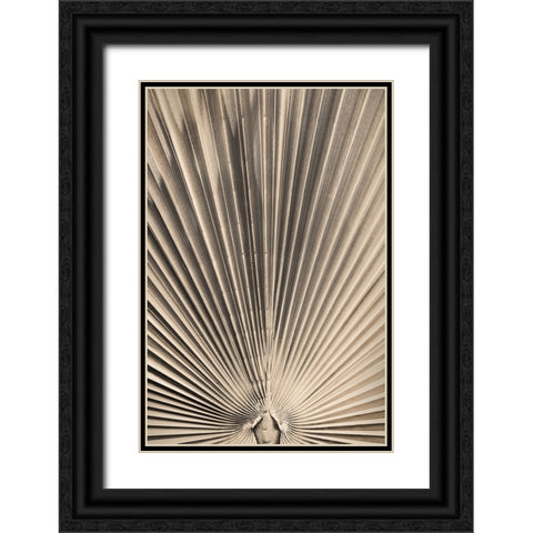Solaris 07 Black Ornate Wood Framed Art Print with Double Matting by Artographie Studio