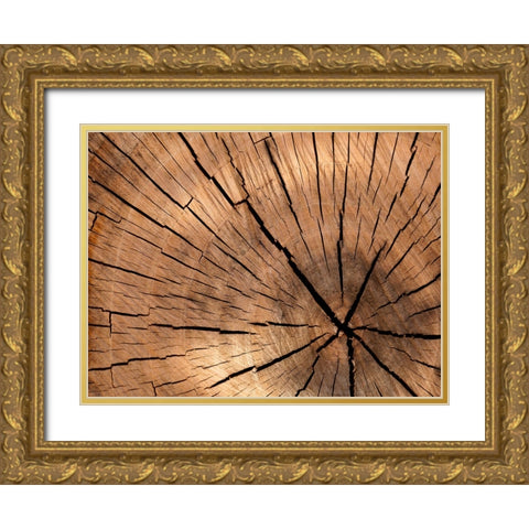Abstract 4 Gold Ornate Wood Framed Art Print with Double Matting by Lee, Rachel