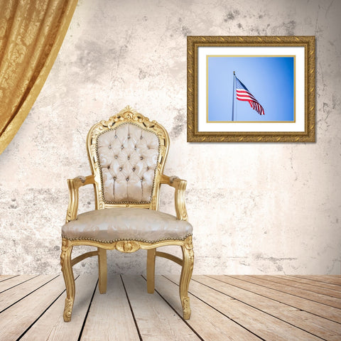 American Flag Gold Ornate Wood Framed Art Print with Double Matting by Lee, Rachel
