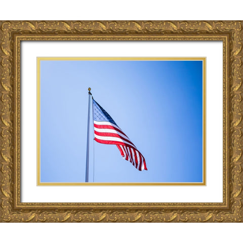 American Flag Gold Ornate Wood Framed Art Print with Double Matting by Lee, Rachel