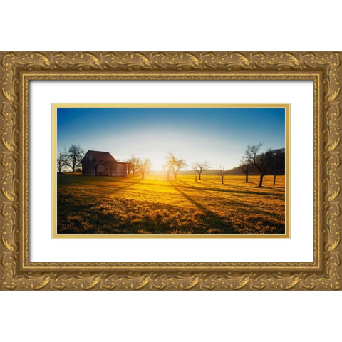 Barn 5 Gold Ornate Wood Framed Art Print with Double Matting by Lee, Rachel