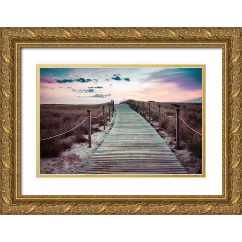 Beach 1 Gold Ornate Wood Framed Art Print with Double Matting by Lee, Rachel