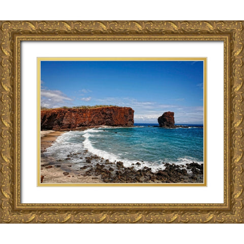 Beach 23 Gold Ornate Wood Framed Art Print with Double Matting by Lee, Rachel