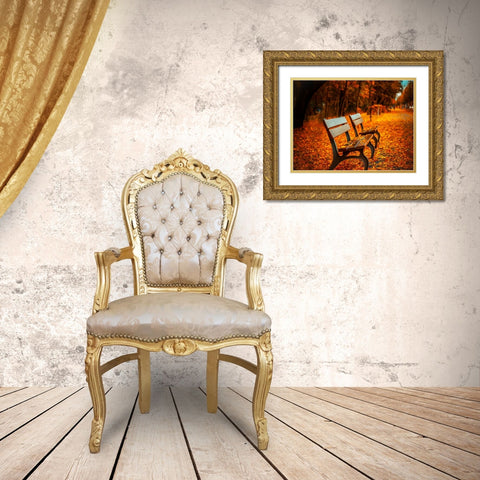 Bench 1 Gold Ornate Wood Framed Art Print with Double Matting by Lee, Rachel