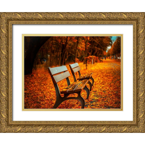 Bench 1 Gold Ornate Wood Framed Art Print with Double Matting by Lee, Rachel