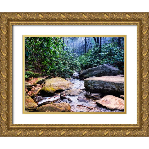 Benton Falls 2 Gold Ornate Wood Framed Art Print with Double Matting by Lee, Rachel