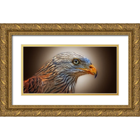 Bird 11 Gold Ornate Wood Framed Art Print with Double Matting by Lee, Rachel