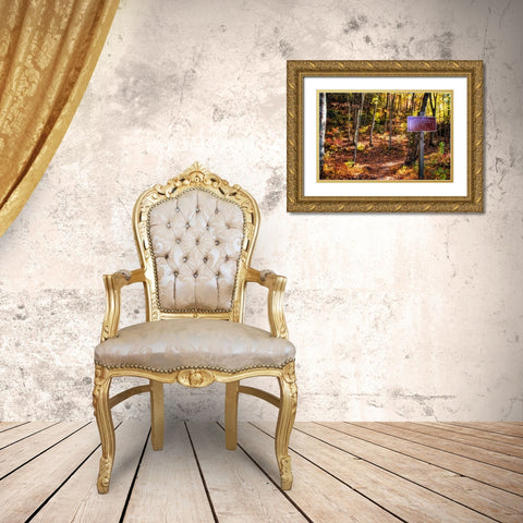 Boyd Gap Trail Gold Ornate Wood Framed Art Print with Double Matting by Lee, Rachel