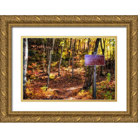 Boyd Gap Trail Gold Ornate Wood Framed Art Print with Double Matting by Lee, Rachel