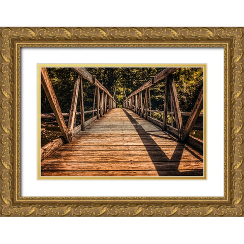 Bridge 3 Gold Ornate Wood Framed Art Print with Double Matting by Lee, Rachel