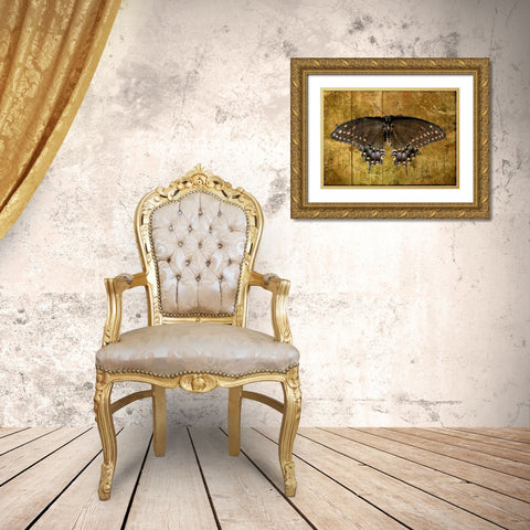 Butterfly 2 Gold Ornate Wood Framed Art Print with Double Matting by Lee, Rachel
