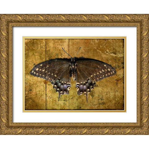 Butterfly 2 Gold Ornate Wood Framed Art Print with Double Matting by Lee, Rachel