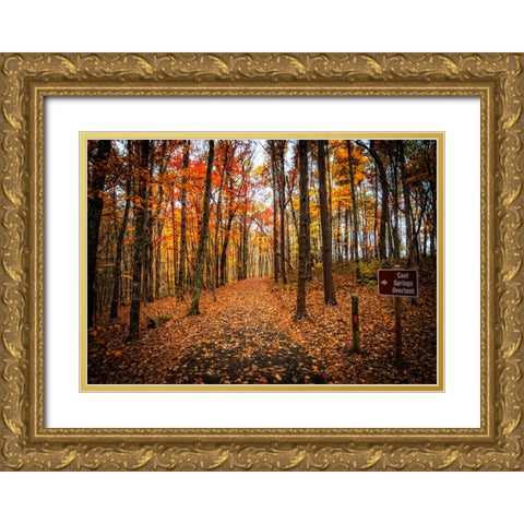 Cool Springs Overlook Gold Ornate Wood Framed Art Print with Double Matting by Lee, Rachel