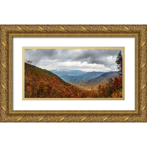 Cool Springs Overlook 2 Gold Ornate Wood Framed Art Print with Double Matting by Lee, Rachel