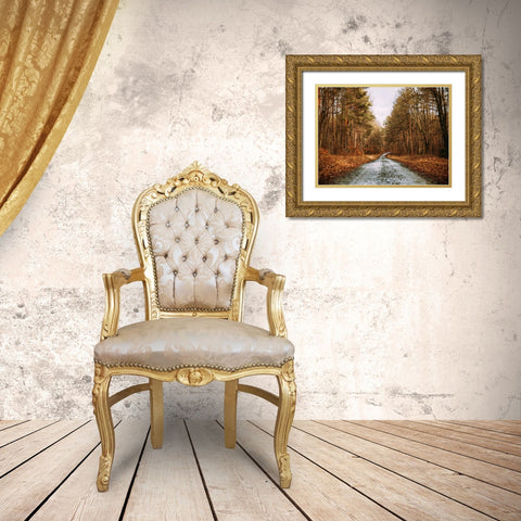 Country Road 16 Gold Ornate Wood Framed Art Print with Double Matting by Lee, Rachel