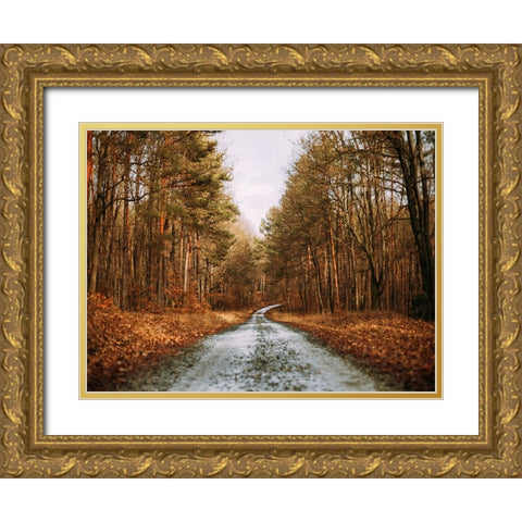Country Road 16 Gold Ornate Wood Framed Art Print with Double Matting by Lee, Rachel