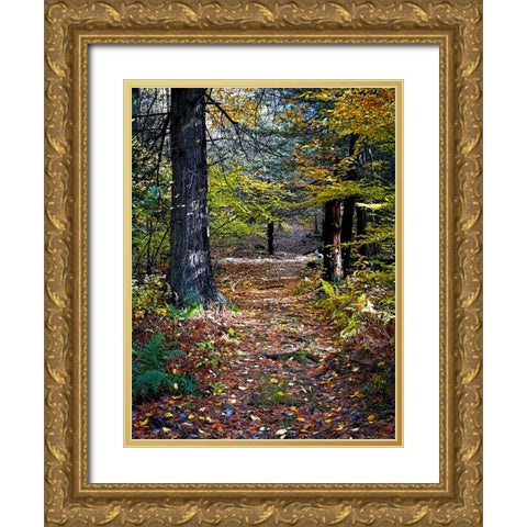 Country Road 19 Gold Ornate Wood Framed Art Print with Double Matting by Lee, Rachel