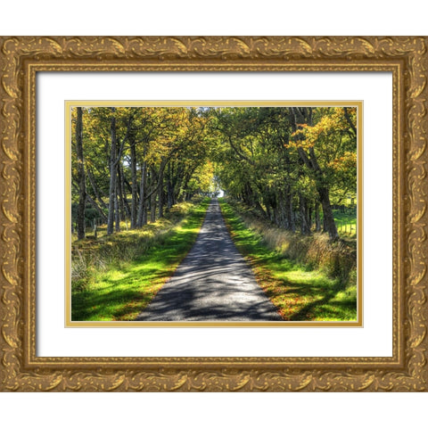 Country Road 21 Gold Ornate Wood Framed Art Print with Double Matting by Lee, Rachel