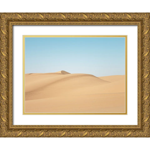 Desert 4 Gold Ornate Wood Framed Art Print with Double Matting by Lee, Rachel