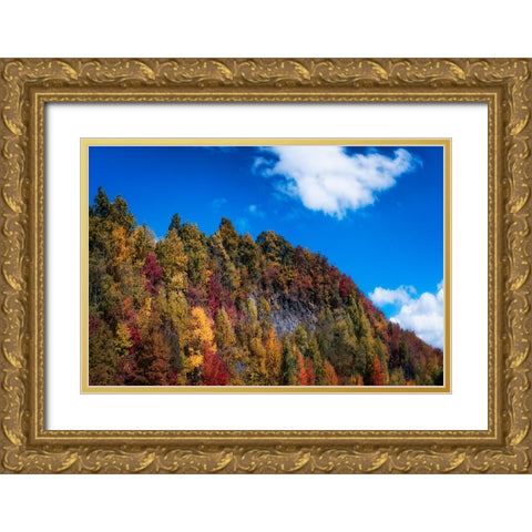 Fall Ridge Gold Ornate Wood Framed Art Print with Double Matting by Lee, Rachel