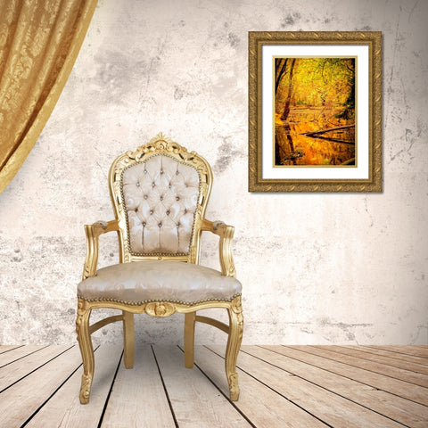Fall Stream Gold Ornate Wood Framed Art Print with Double Matting by Lee, Rachel