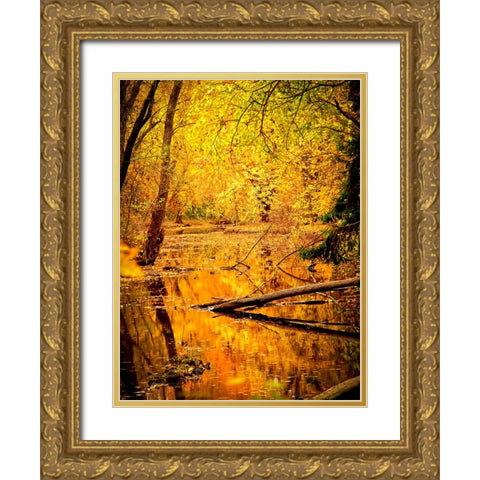 Fall Stream Gold Ornate Wood Framed Art Print with Double Matting by Lee, Rachel