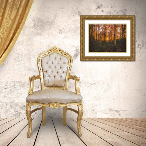 Fall Trees 12 Gold Ornate Wood Framed Art Print with Double Matting by Lee, Rachel