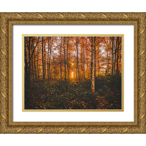 Fall Trees 12 Gold Ornate Wood Framed Art Print with Double Matting by Lee, Rachel