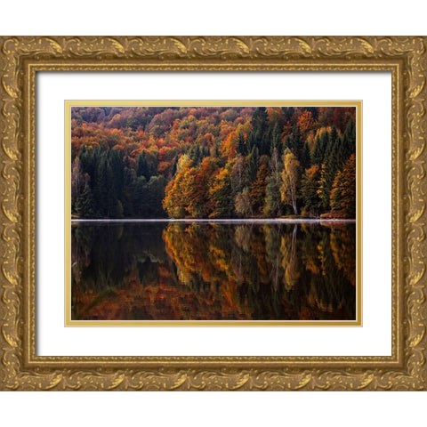 Fall Trees 13 Gold Ornate Wood Framed Art Print with Double Matting by Lee, Rachel