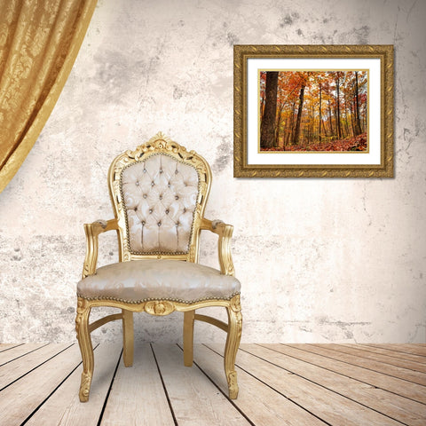 Fall Trees 19 Gold Ornate Wood Framed Art Print with Double Matting by Lee, Rachel