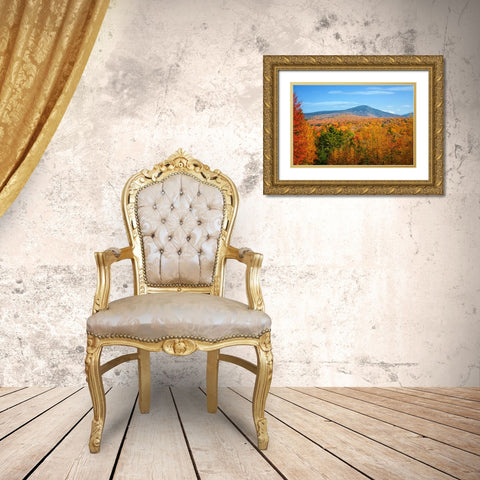 Fall Trees 6 Gold Ornate Wood Framed Art Print with Double Matting by Lee, Rachel
