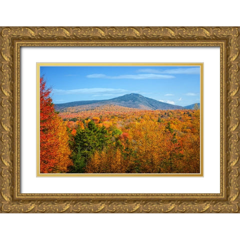 Fall Trees 6 Gold Ornate Wood Framed Art Print with Double Matting by Lee, Rachel