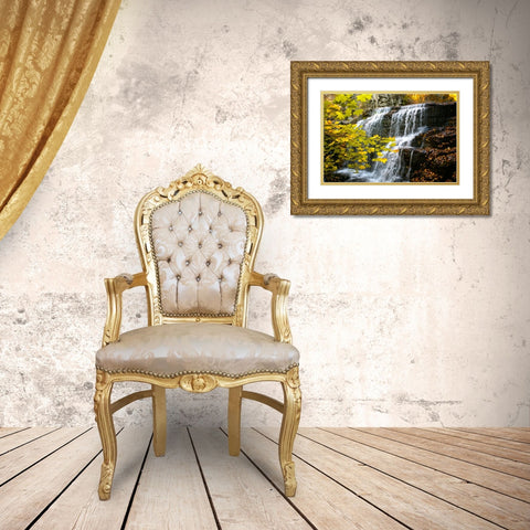 Fall Waterfall Gold Ornate Wood Framed Art Print with Double Matting by Lee, Rachel