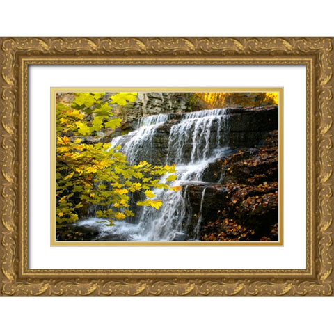 Fall Waterfall Gold Ornate Wood Framed Art Print with Double Matting by Lee, Rachel