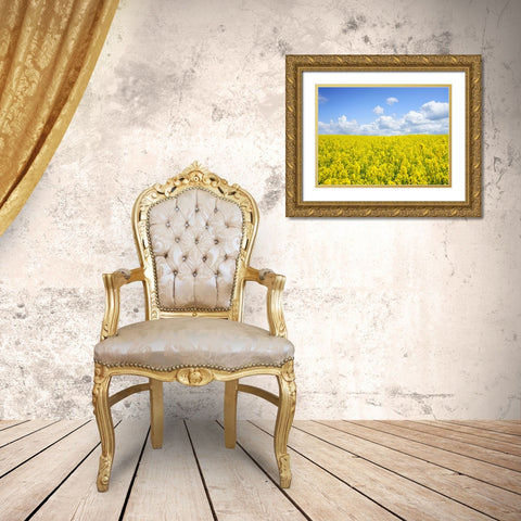 Field 15 Gold Ornate Wood Framed Art Print with Double Matting by Lee, Rachel