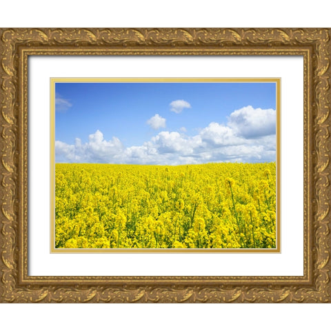 Field 15 Gold Ornate Wood Framed Art Print with Double Matting by Lee, Rachel