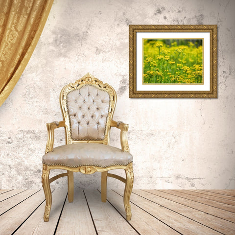 Field 16 Gold Ornate Wood Framed Art Print with Double Matting by Lee, Rachel