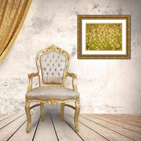 Field 17 Gold Ornate Wood Framed Art Print with Double Matting by Lee, Rachel