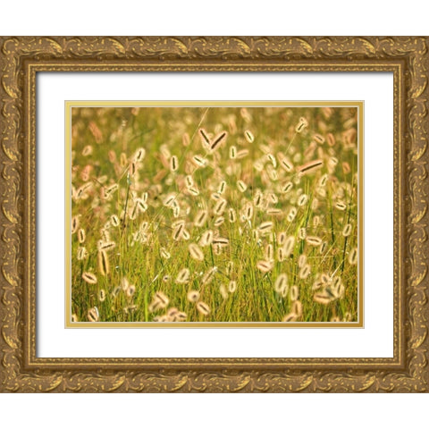 Field 17 Gold Ornate Wood Framed Art Print with Double Matting by Lee, Rachel