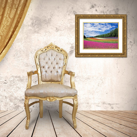 Field 19 Gold Ornate Wood Framed Art Print with Double Matting by Lee, Rachel