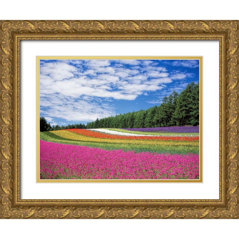 Field 19 Gold Ornate Wood Framed Art Print with Double Matting by Lee, Rachel