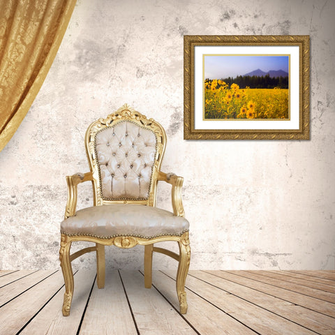 Field 22 Gold Ornate Wood Framed Art Print with Double Matting by Lee, Rachel
