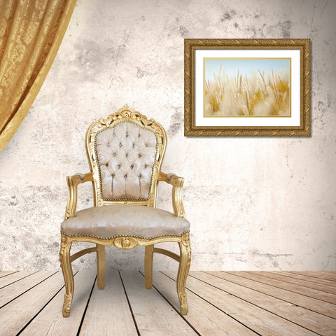 Field 6 Gold Ornate Wood Framed Art Print with Double Matting by Lee, Rachel