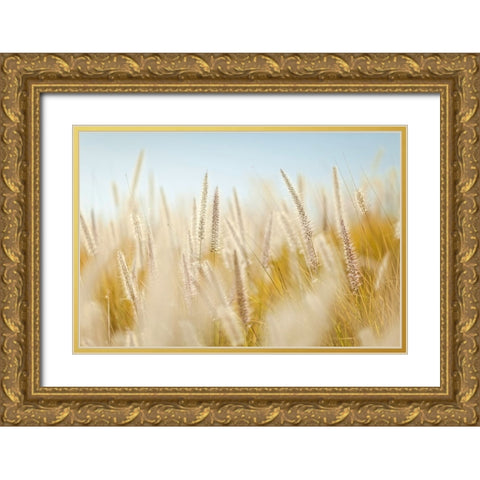 Field 6 Gold Ornate Wood Framed Art Print with Double Matting by Lee, Rachel