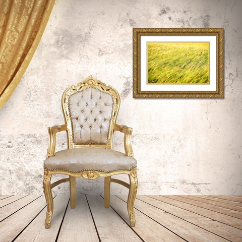Field 8 Gold Ornate Wood Framed Art Print with Double Matting by Lee, Rachel