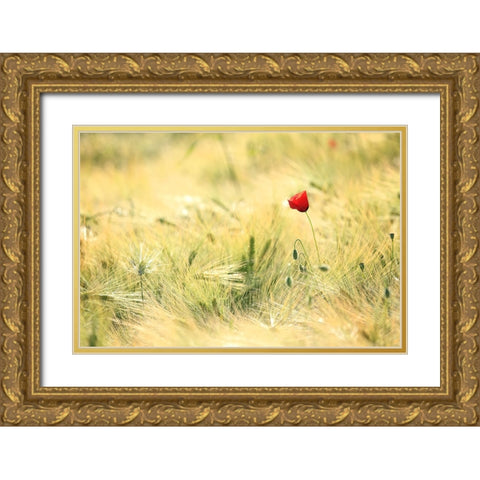 Field 9 Gold Ornate Wood Framed Art Print with Double Matting by Lee, Rachel