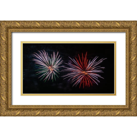 Fireworks 1 Gold Ornate Wood Framed Art Print with Double Matting by Lee, Rachel