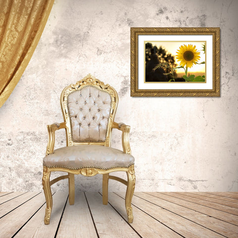 Flower 16 Gold Ornate Wood Framed Art Print with Double Matting by Lee, Rachel