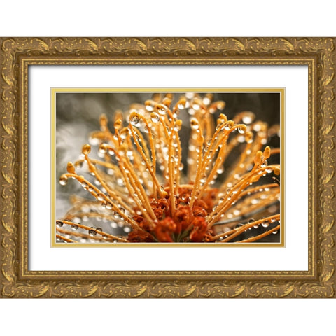 Flower 19 Gold Ornate Wood Framed Art Print with Double Matting by Lee, Rachel
