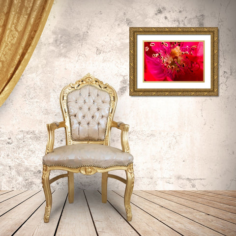 Flower 2 Gold Ornate Wood Framed Art Print with Double Matting by Lee, Rachel